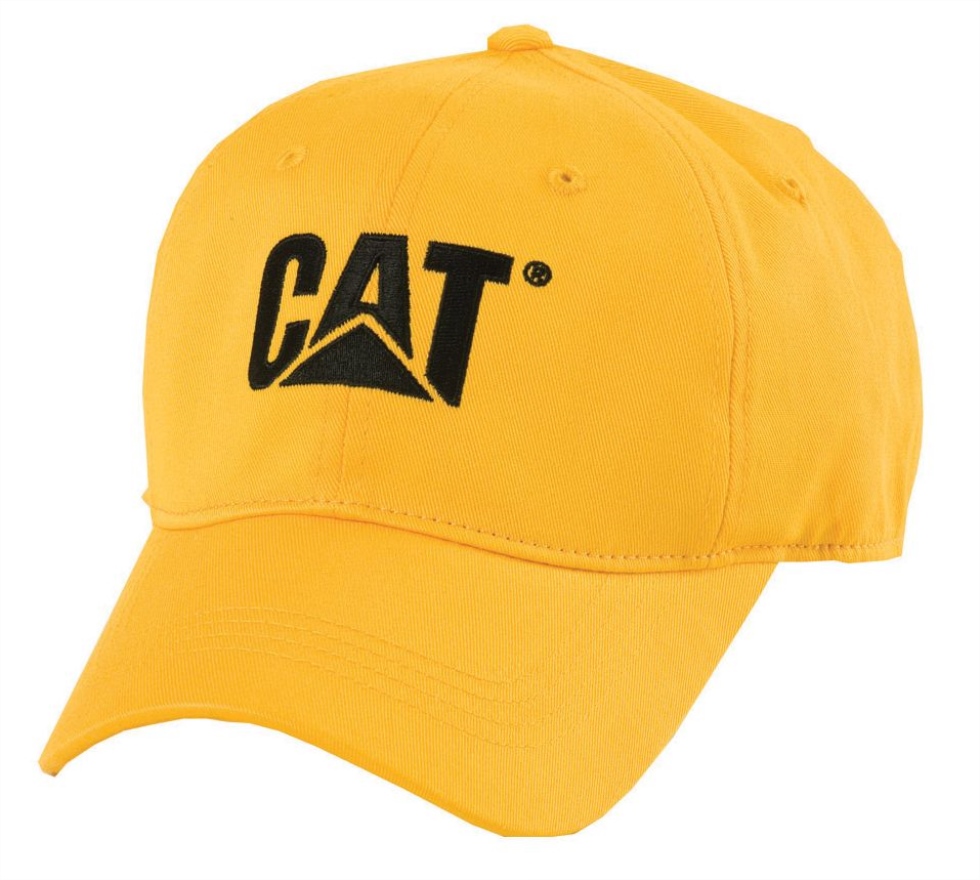 Gato Calçados Amarelos Boné De Marca Registrada Dos Homens