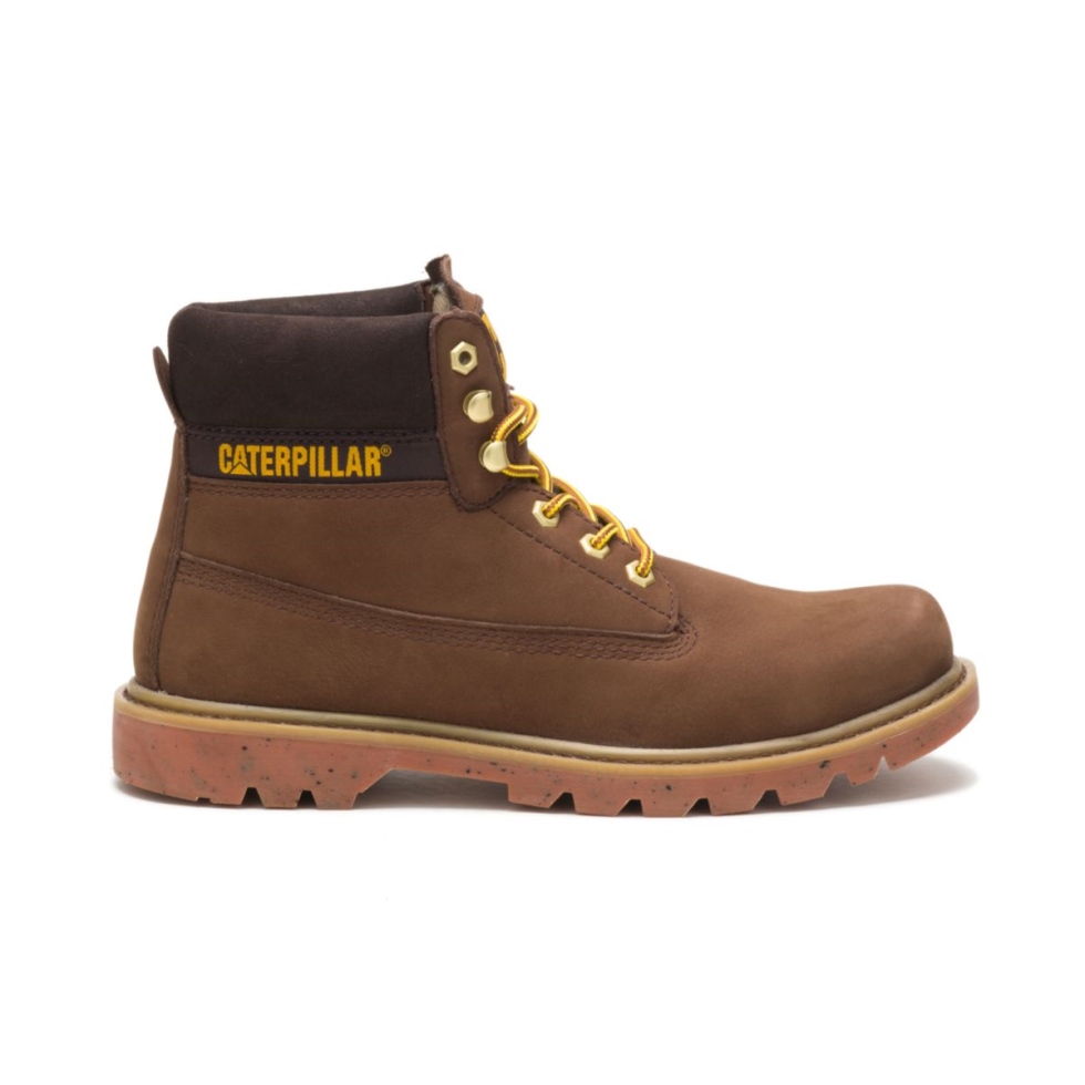 Gato Calçado Ecolorado Bota Lontra