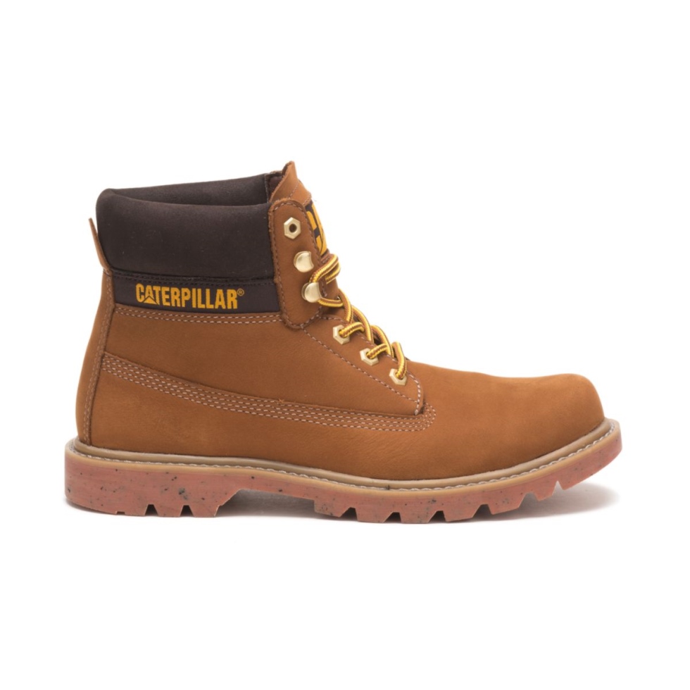 Gato Calçado Ecolorado Bota Taffy